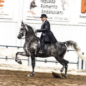 Meet your Posher, Deb